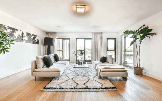 Maximizing Style and Function in Apartments